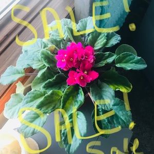 MEGA SALE!!! Prices slashed!